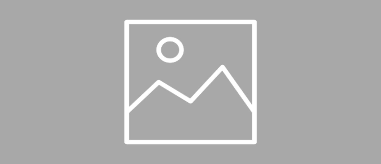 section image template