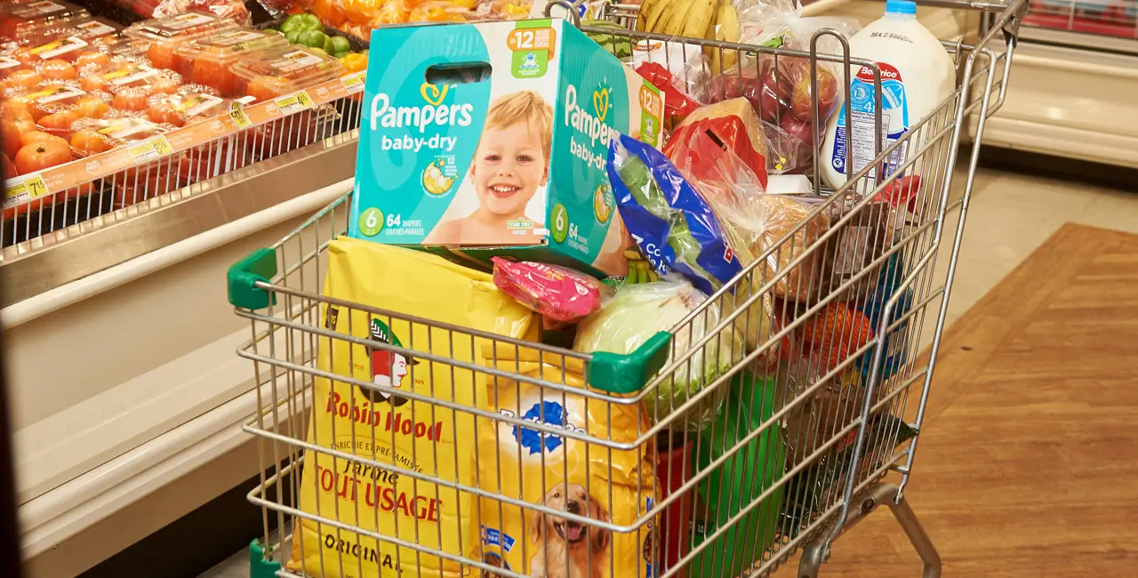 shopping cart full of groceries